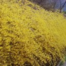 오수시장 이미지