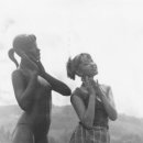 장덕농원 이미지