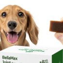 맥스농장 이미지