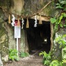 대왕농장2 이미지