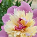 블루밍 태권도장 이미지