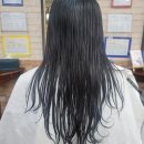 나오늘머리한다 이미지