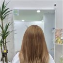 이어진;아름다움을잇다