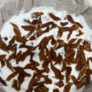 콩시루 - 창원시 성산구 | 콩시루