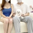 블링퍼피 이미지