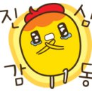 씨블럭 이미지