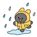 충청동물병원
