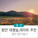 대평늪 화장실 이미지