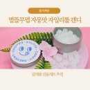 지니뜰 | 별뜰무렵 자몽맛 자일리톨캔디 충치예방도 챙기는 달콤한 답례품 선물세트 후기