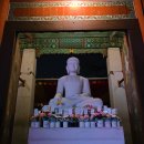 대불LED조명 | 🌸서울 봄나들이 추천코스! 봉은사 매화와 야경 산책🌙