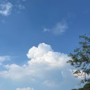 2705 | 대전 근교 카페 청주 위스테리아 후기 / 망고 젤라또, 딸기브라우니쿠키, 아메리카노