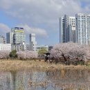 운천저수지 이미지