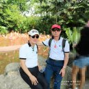 새들의천국 이미지