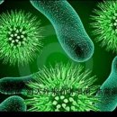 대륙세탁 이미지