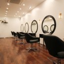 안나애견 이미지