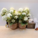 연세늘정신건강의학과의원 이미지