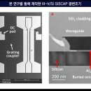 제광경로당 클리앙 새로운소식