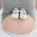 사진을 찍다 이미지