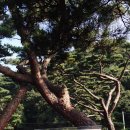 서포리관광지 이미지