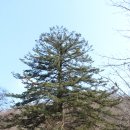삼회2리 마을회관 이미지