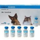 분당세계로 약국 이미지