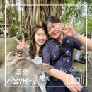애플몽키 | 발리 우붓 몽키포레스트 입장료 시간 셀카 입구 위치