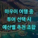 하와이안코드 공예 | 마우이 여행 중 투어 선택 시 예산별 추천 조합