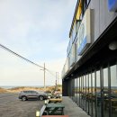 민경애견 이미지