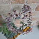 햇살다육꽃사랑 이미지