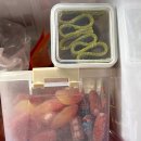 세림노래방 | 2026.02