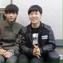 댕댕냥냥 이미지