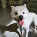 잠두유치원 이미지