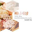케이네일(K nail) 이미지
