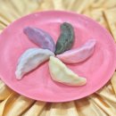 세움아이유치원 이미지