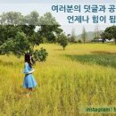 나주곰탕전주본점 이미지