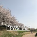 용당e편한세상 앞 이미지