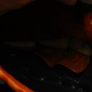 골드크리닝 이미지