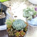 신산중학교 이미지