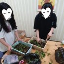 소선여자중학교 이미지