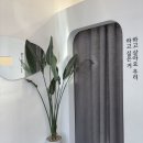 울산 속눈썹펌 가격 2025 모처럼 봄날 나의 후기와 추천 바쁜 intp의 필수 뷰티 루틴