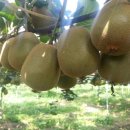 골드농장 이미지