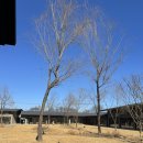 들꽃하우스 | 담양 신상 대형 카페 들꽃숲