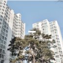 구로한신휴플러스 Daum카페