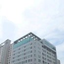 더샤인행정사사무소 이미지
