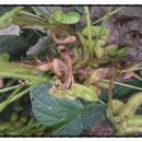 선기농장 이미지