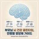 경보 코아 | [부모님 뇌 건강] 치매 예방, 뇌영양제 추천부터 일상 습관까지 완벽 정리