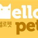 헬로펫 이미지