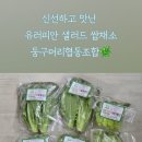 둥구머리협동조합 이미지