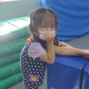 충효태권도 파워점핑 교육관 네이버블로그