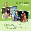 강릉아기동물농장 이미지